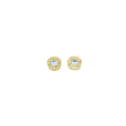 classic stud earrings gold